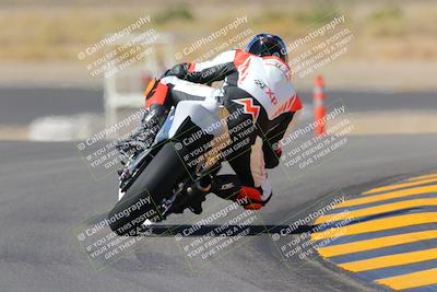 media/Oct-08-2022-SoCal Trackdays (Sat) [[1fc3beec89]]/Turn 11 Backside (1145am)/